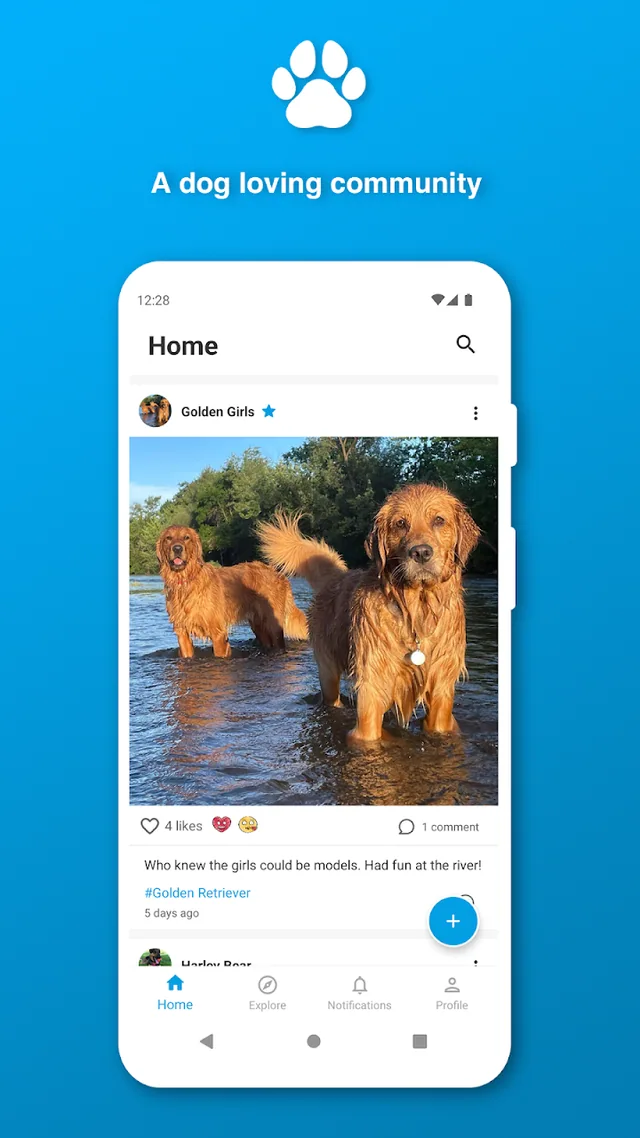 Woof store preview: the dog community.