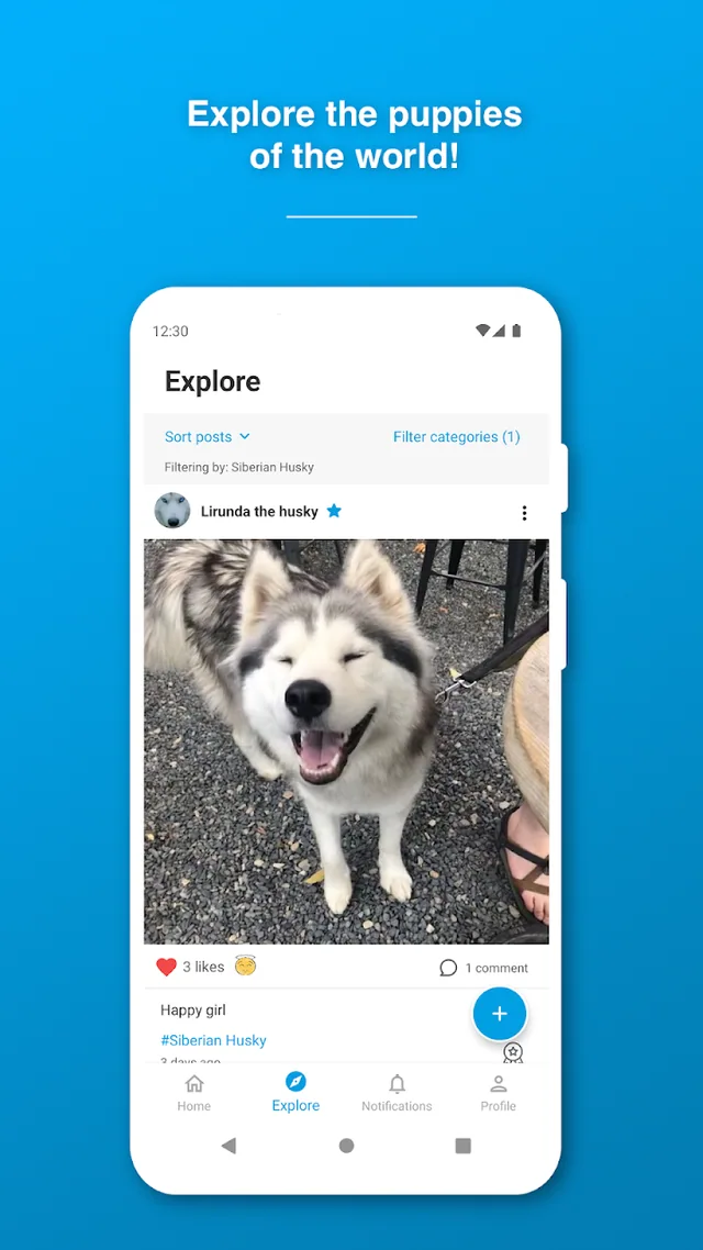 Woof store preview: explore more dogs.